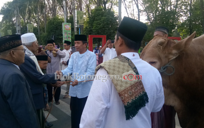 Wabup Serahkan Hewan Kurban di Masjid Agung Darussalam